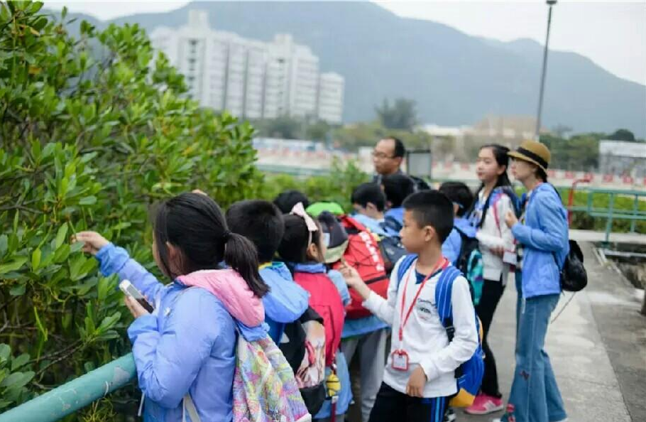深圳分析测试协会“深港亲子科普行，育科技幼苗”活动通知