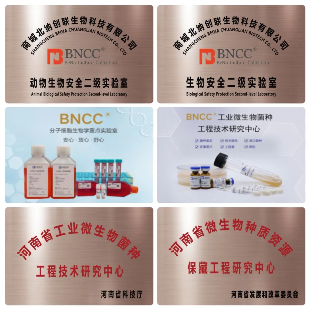 b446d010fbdac500a6f65a0e4a541c74.jpg